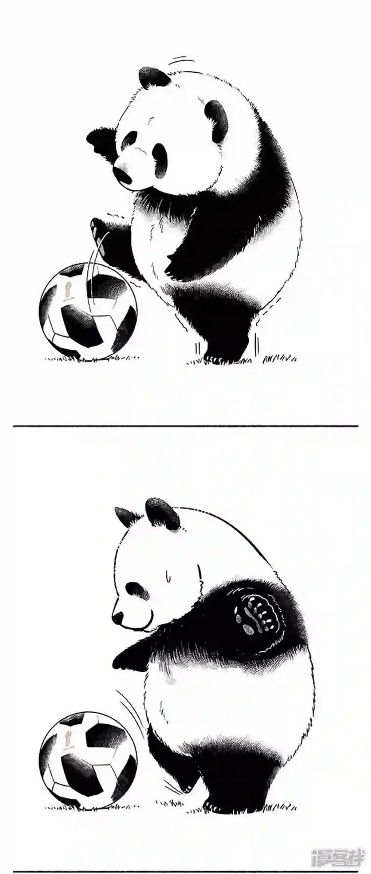 快把动物放进冰箱080球技