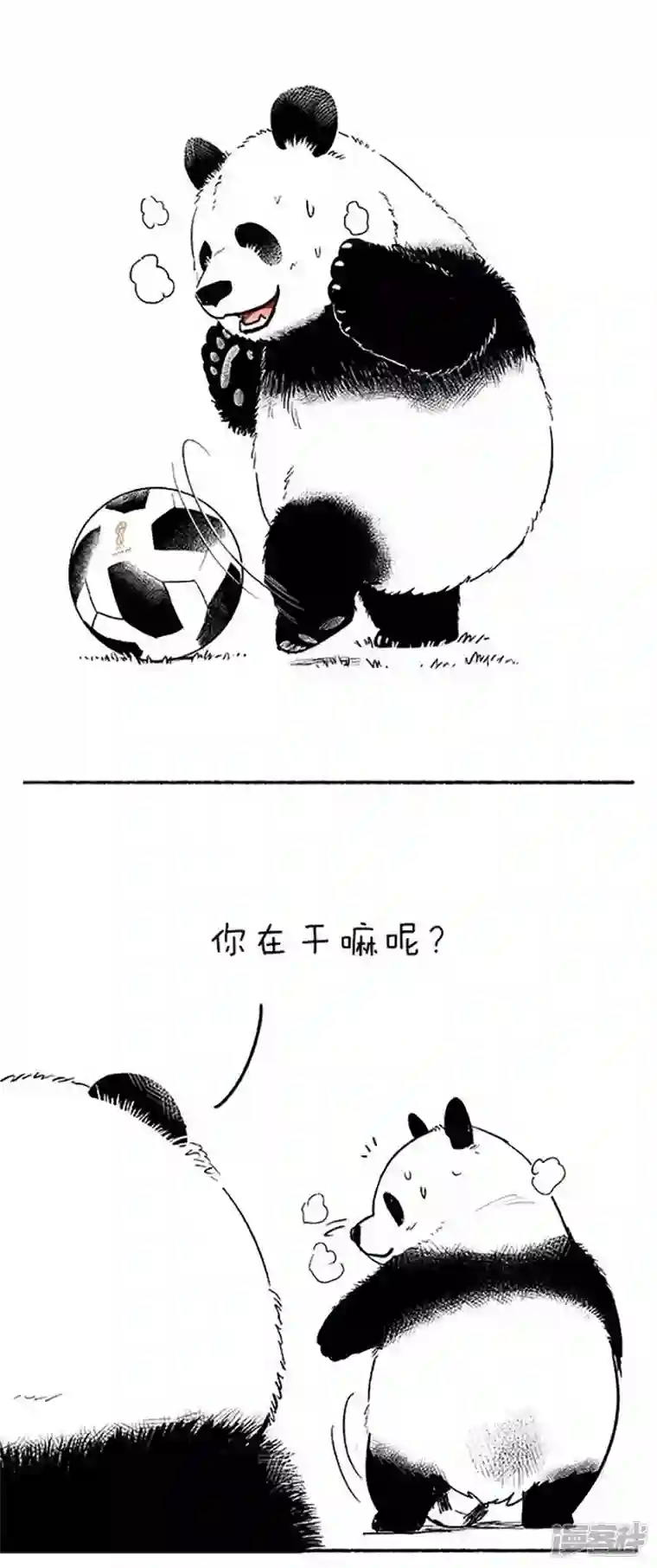 快把动物放进冰箱080球技