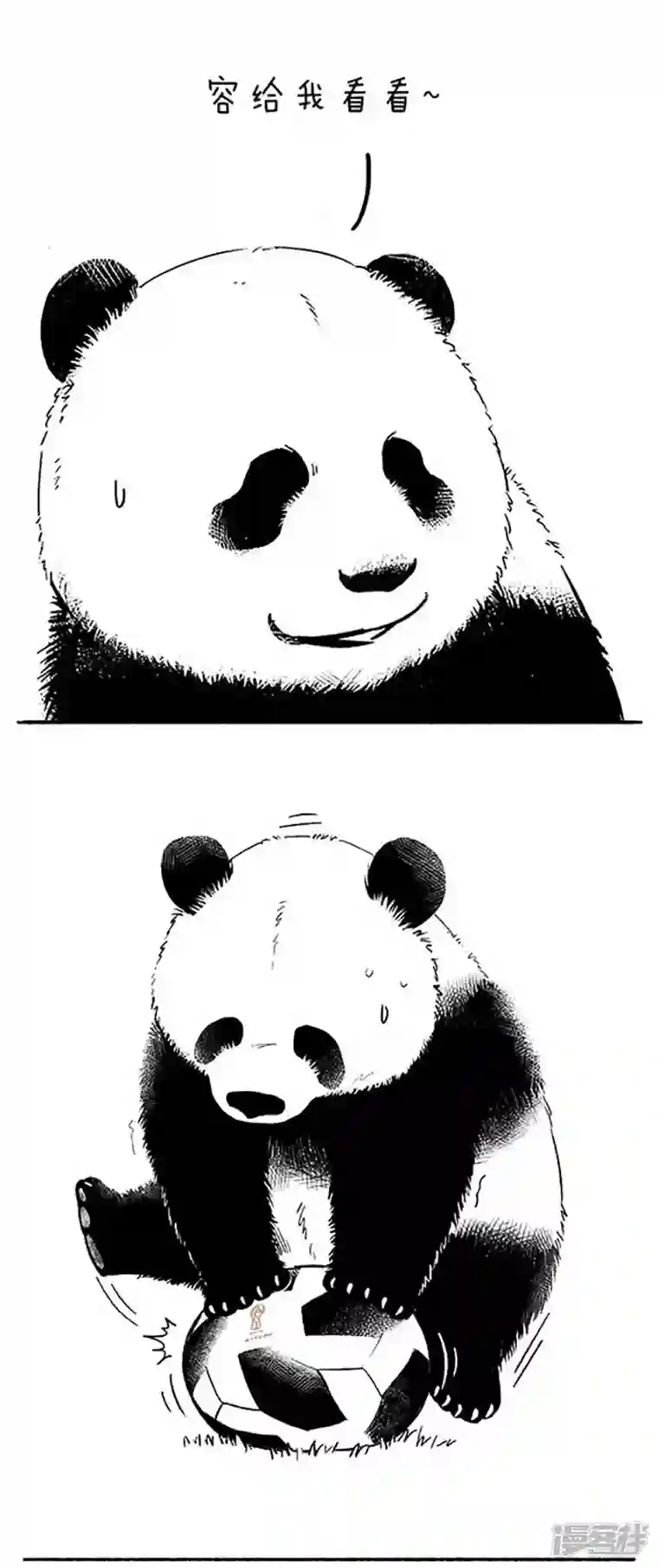 快把动物放进冰箱080球技