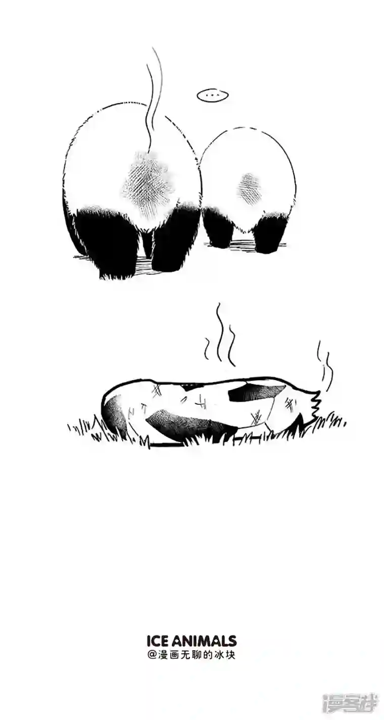 快把动物放进冰箱080球技