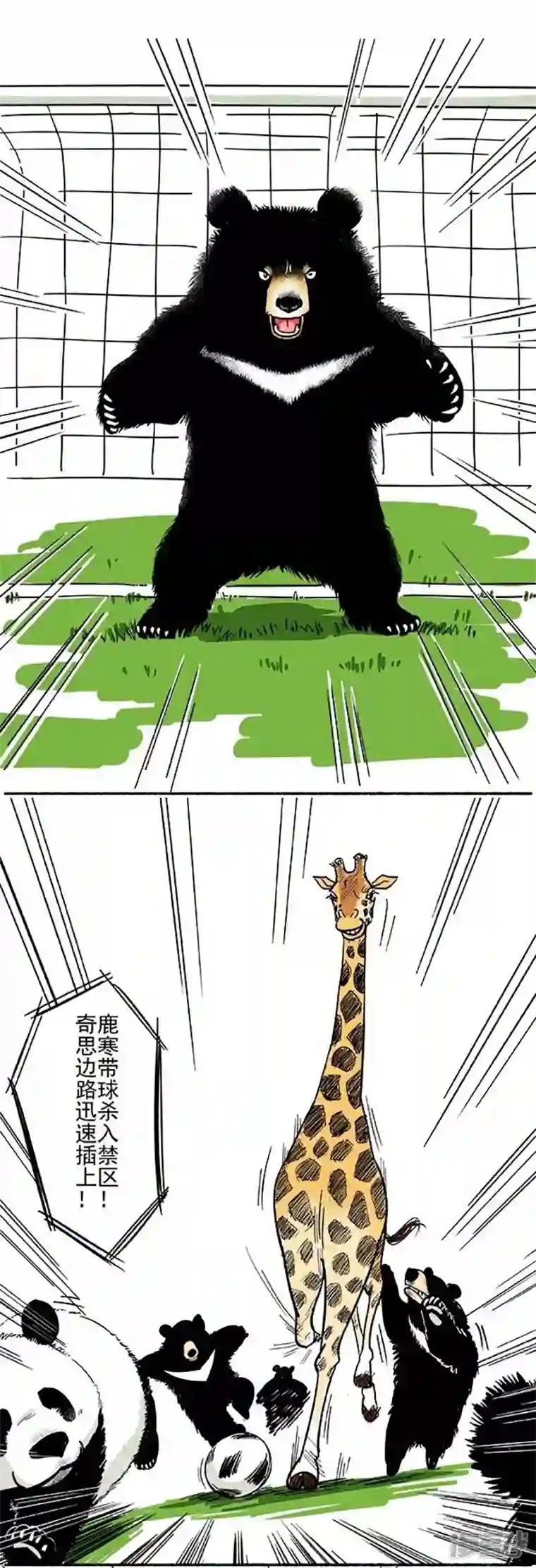 快把动物放进冰箱084进球