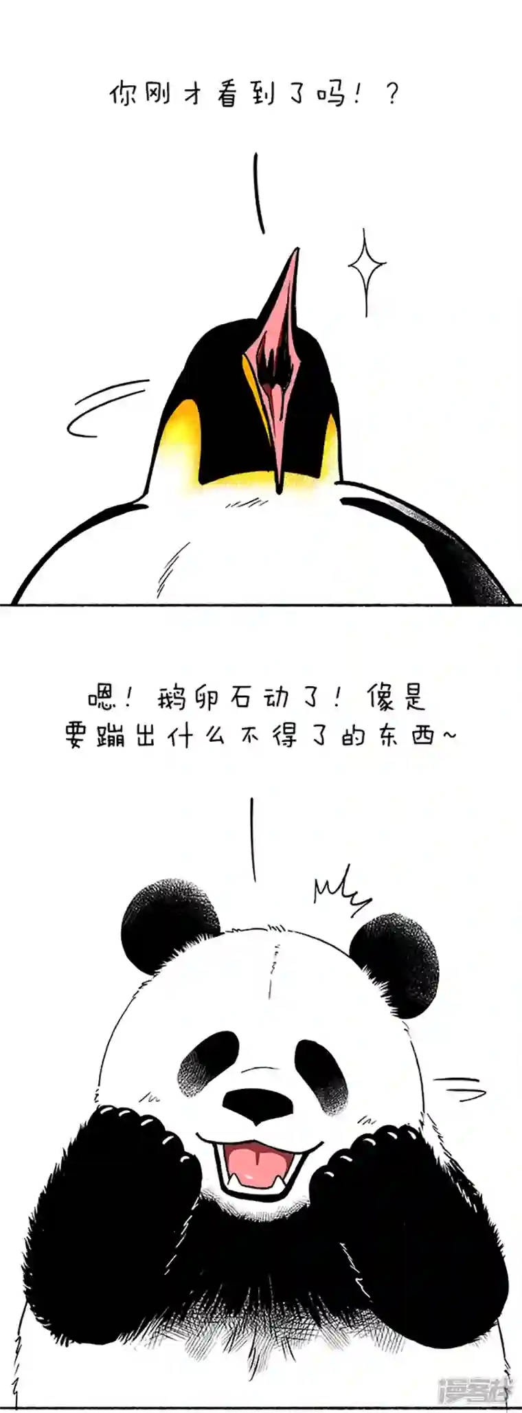 快把动物放进冰箱085蛋是怎么被冷死的（上）