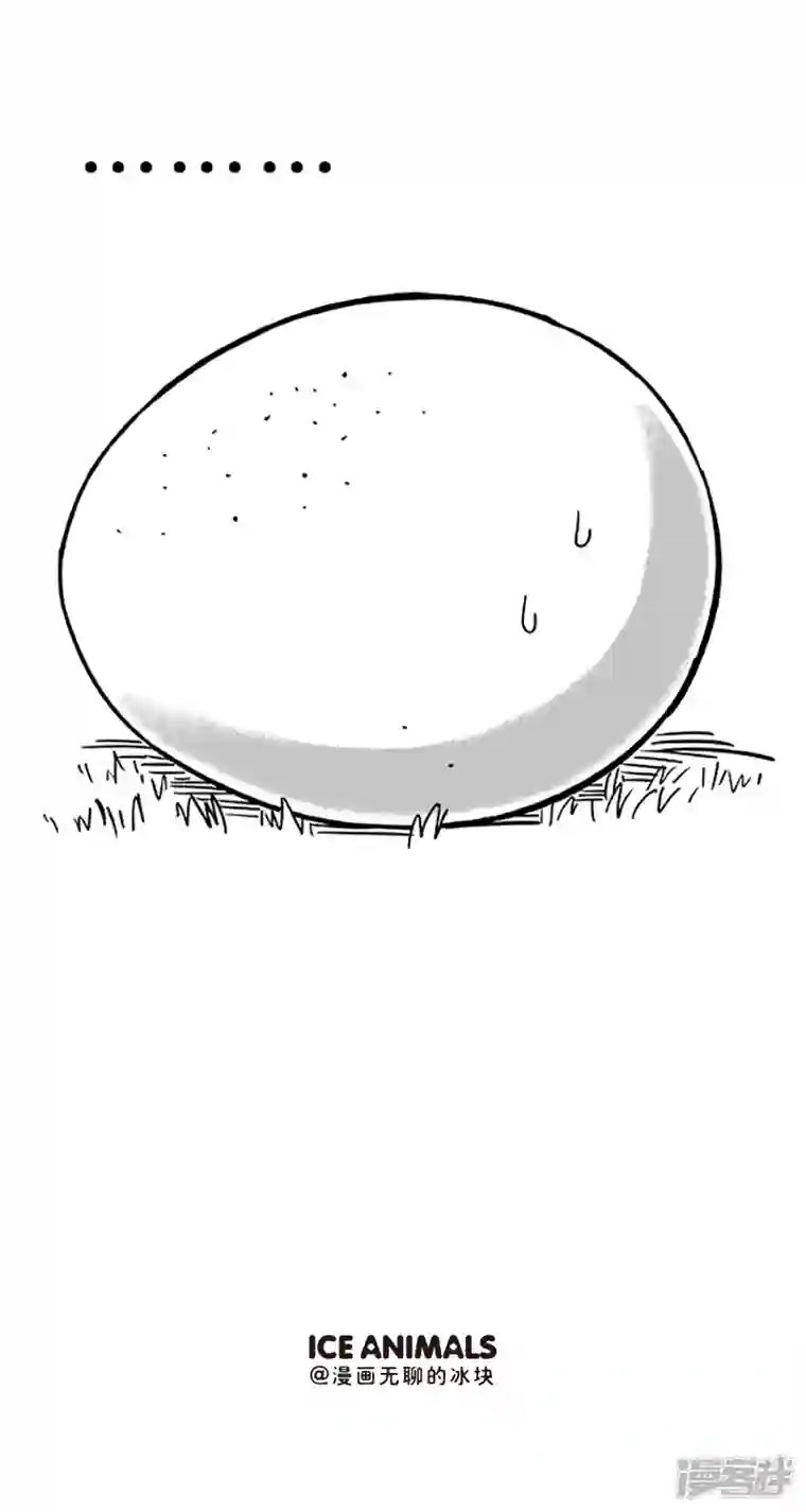 快把动物放进冰箱085蛋是怎么被冷死的（上）