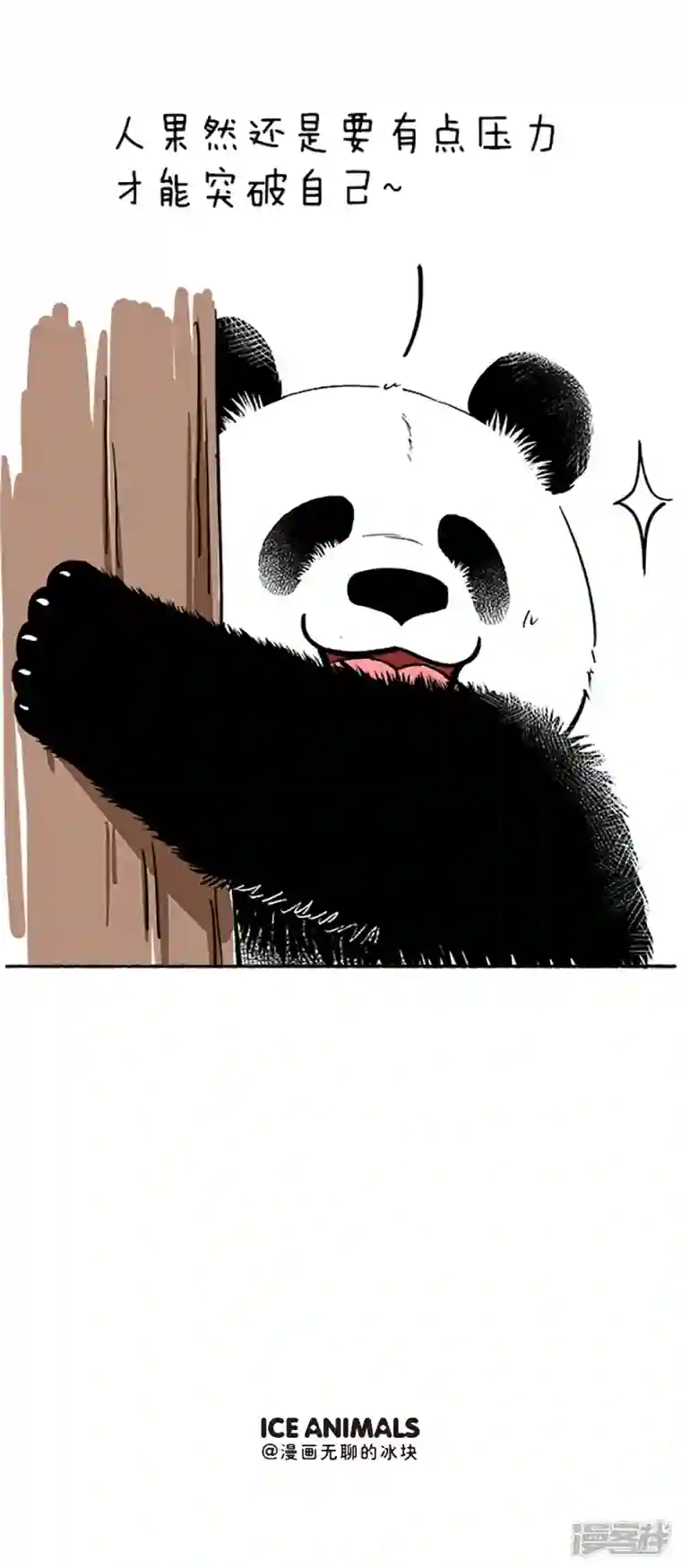 快把动物放进冰箱087突破蛋壳