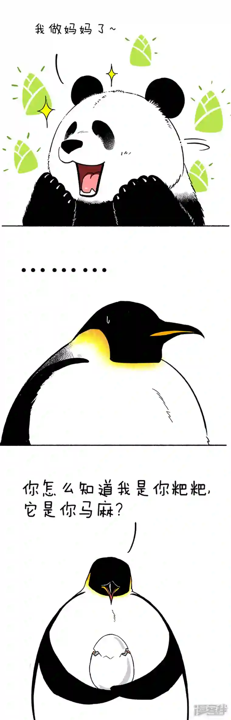 快把动物放进冰箱088没错，这只蛋是亲生