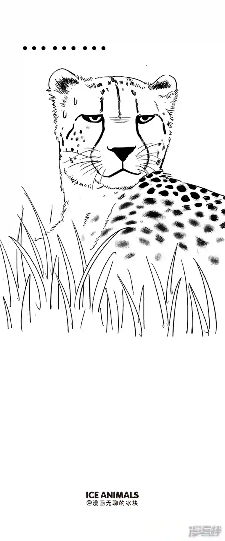 快把动物放进冰箱090输了，彻底输了...