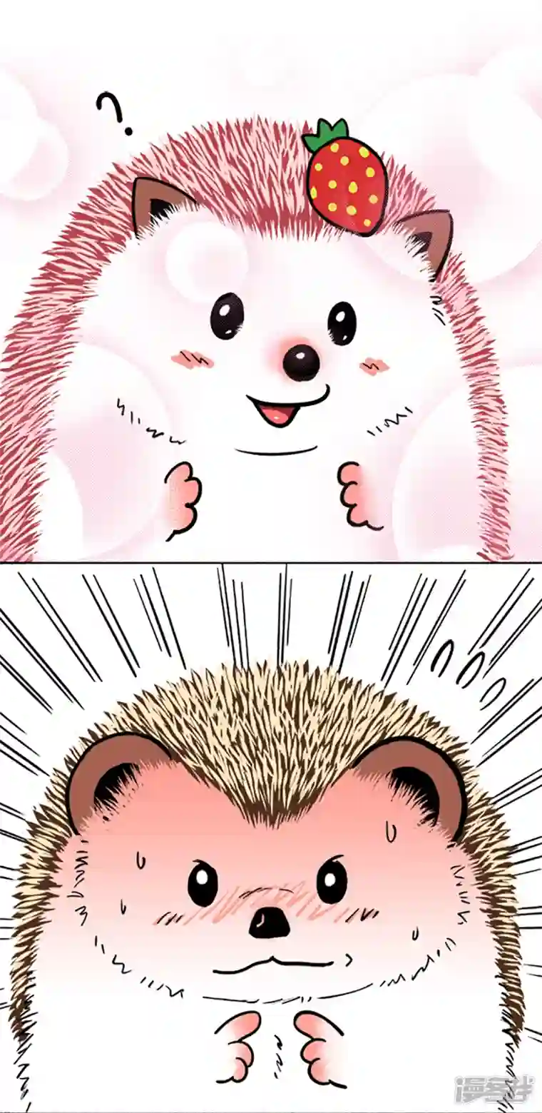 快把动物放进冰箱092男子汉，汉子难