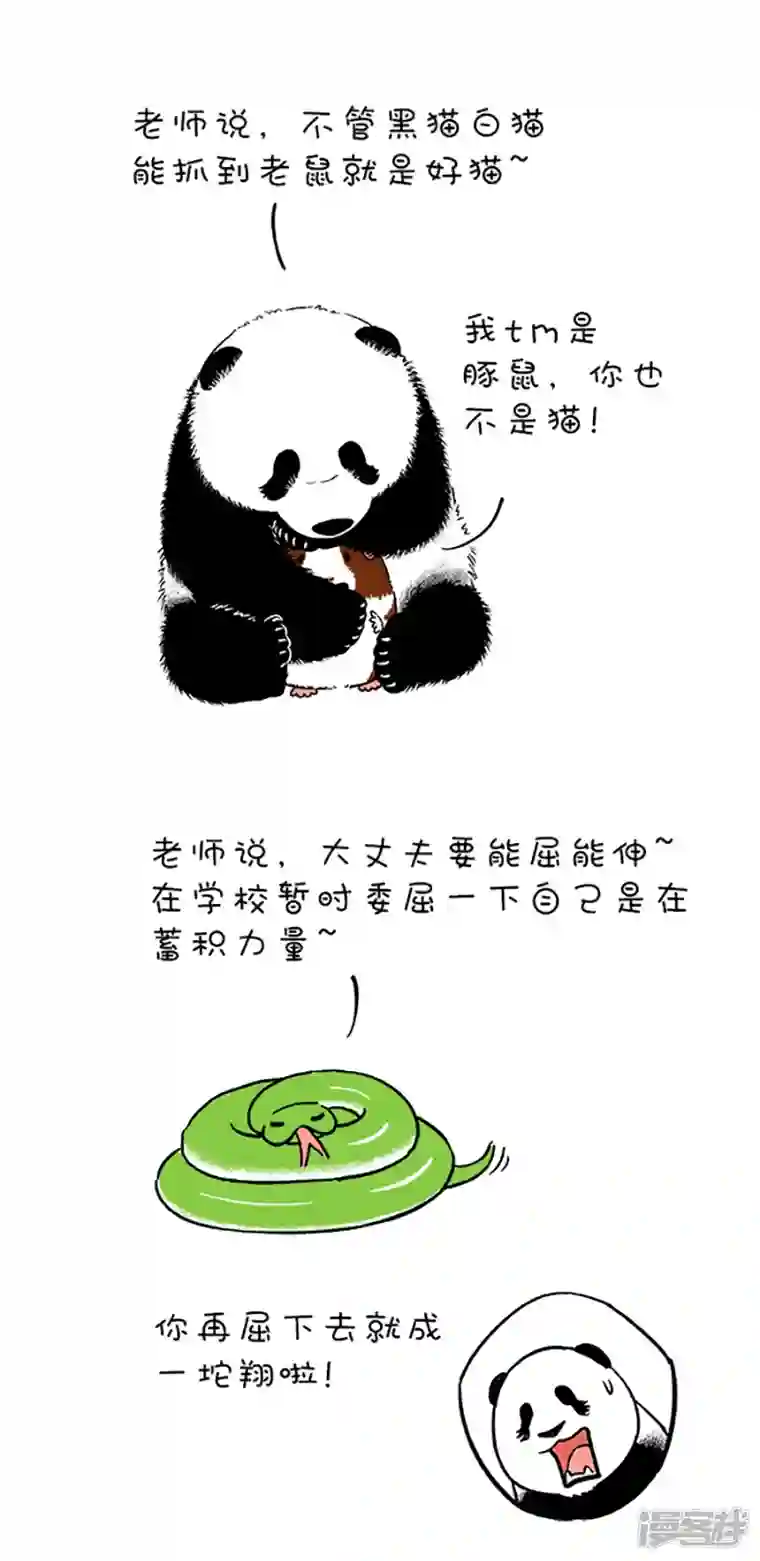 快把动物放进冰箱094祝老师节日快乐！