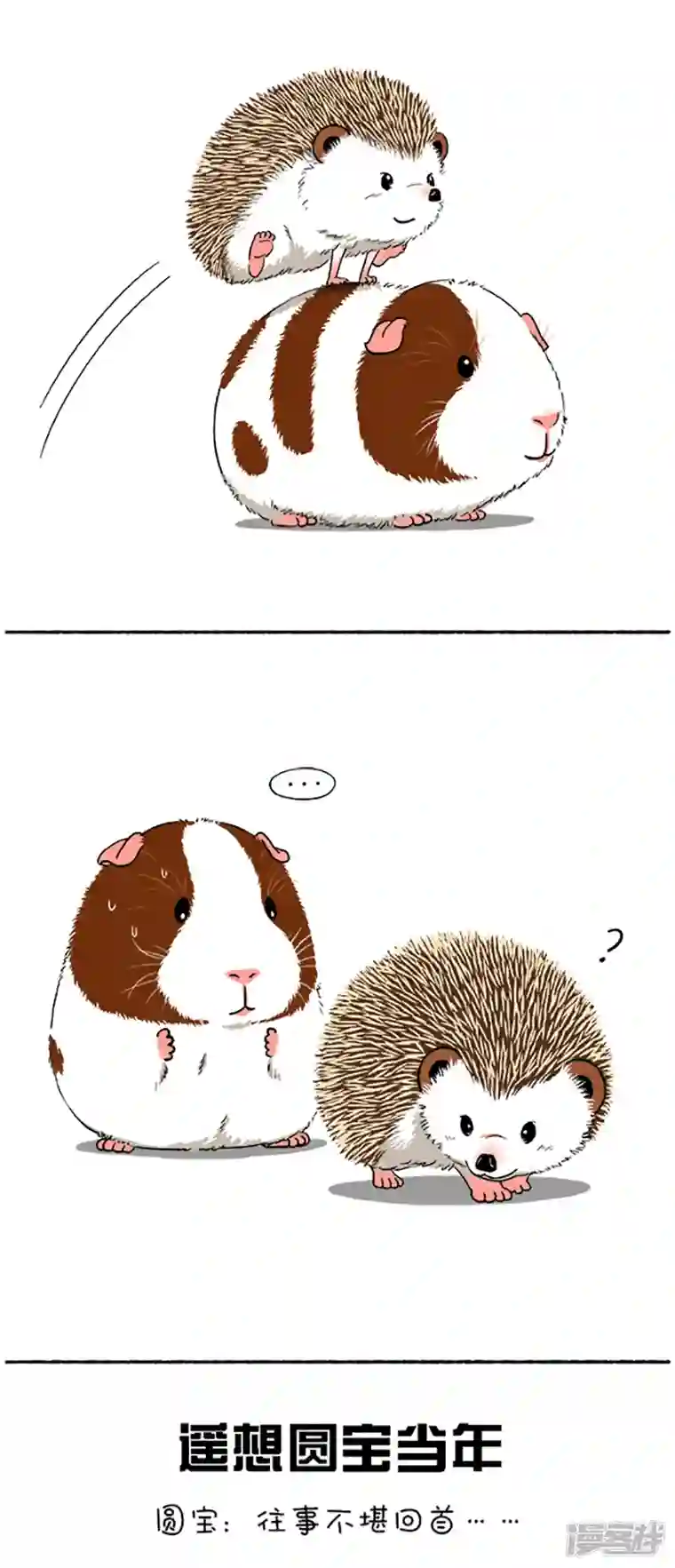 快把动物放进冰箱095台风出不散我的童真