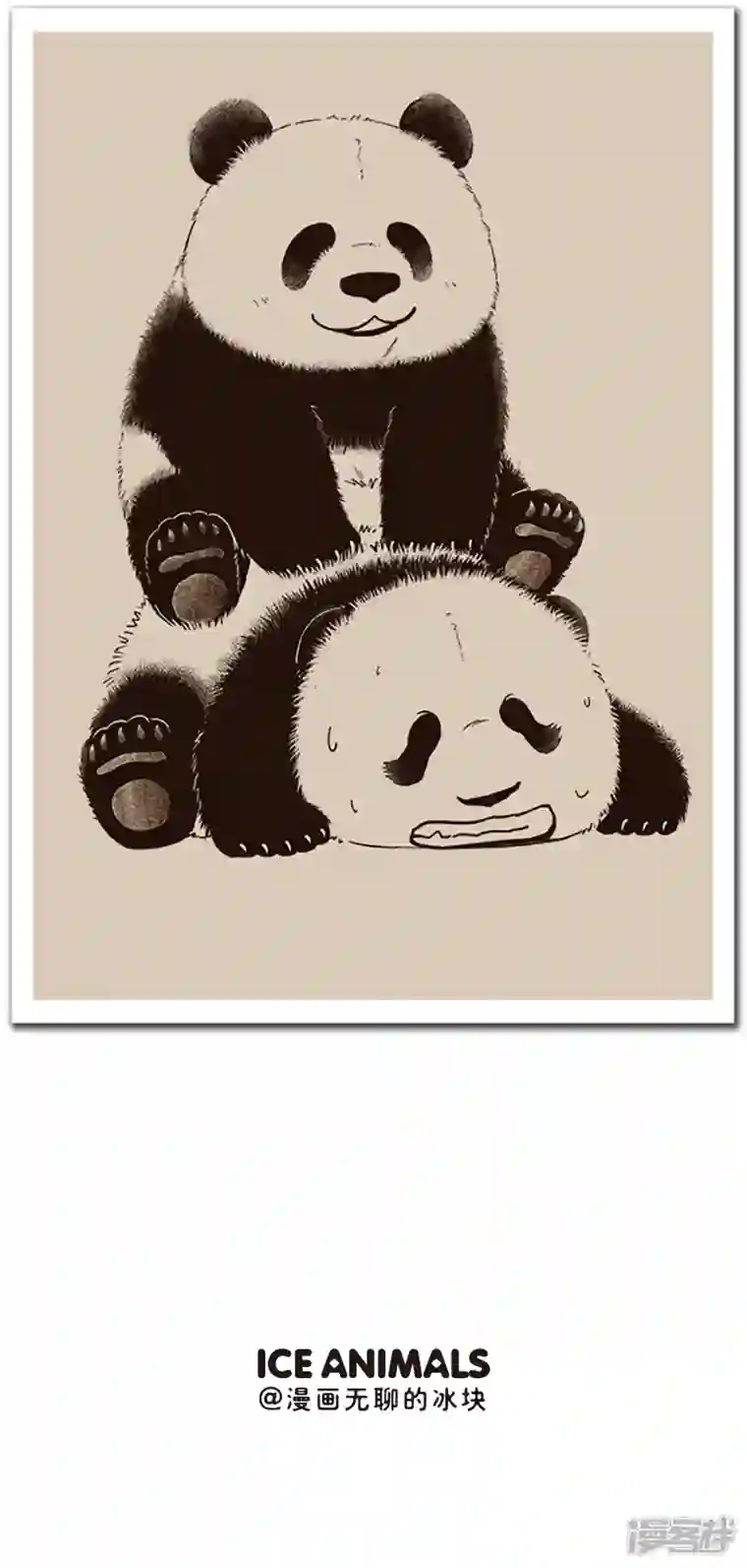 快把动物放进冰箱095台风出不散我的童真