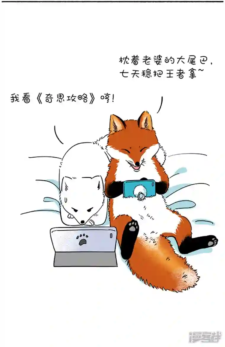 快把动物放进冰箱098国庆冷萌攻略