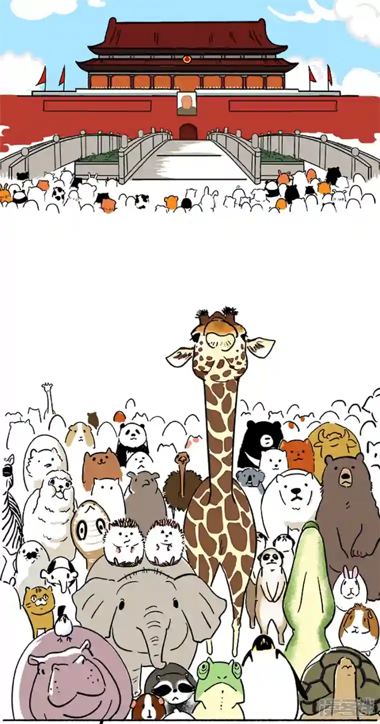 快把动物放进冰箱098国庆冷萌攻略