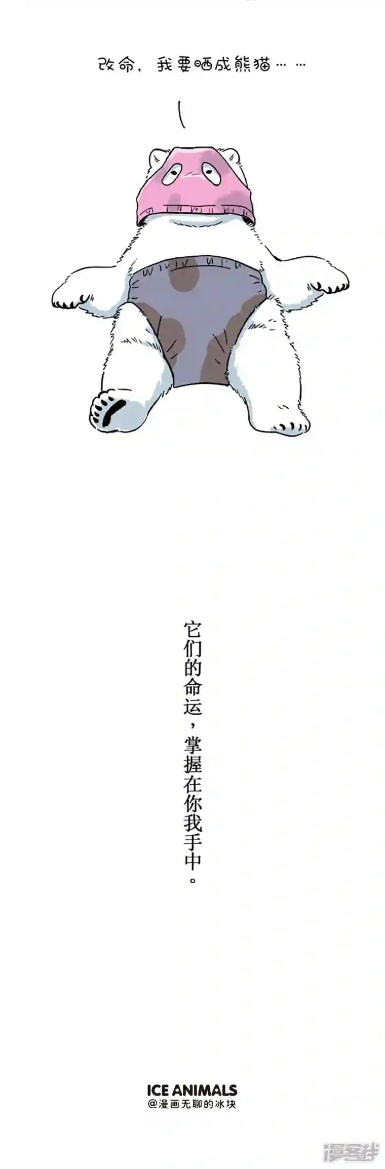 快把动物放进冰箱099世界动物日-小白熊有一个梦