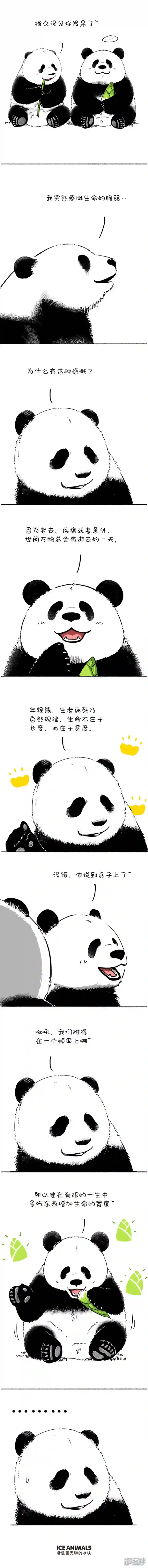 快把动物放进冰箱104生命的意义 奇思哲学