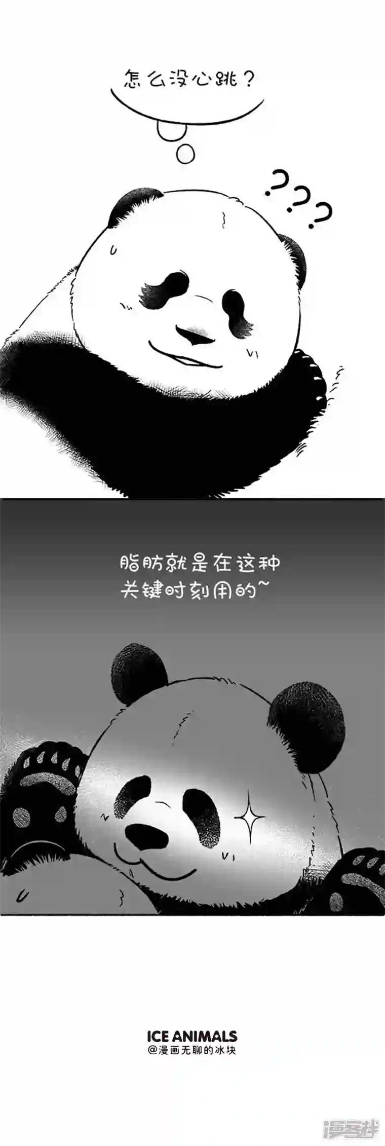 快把动物放进冰箱108 你的心跳出卖了你