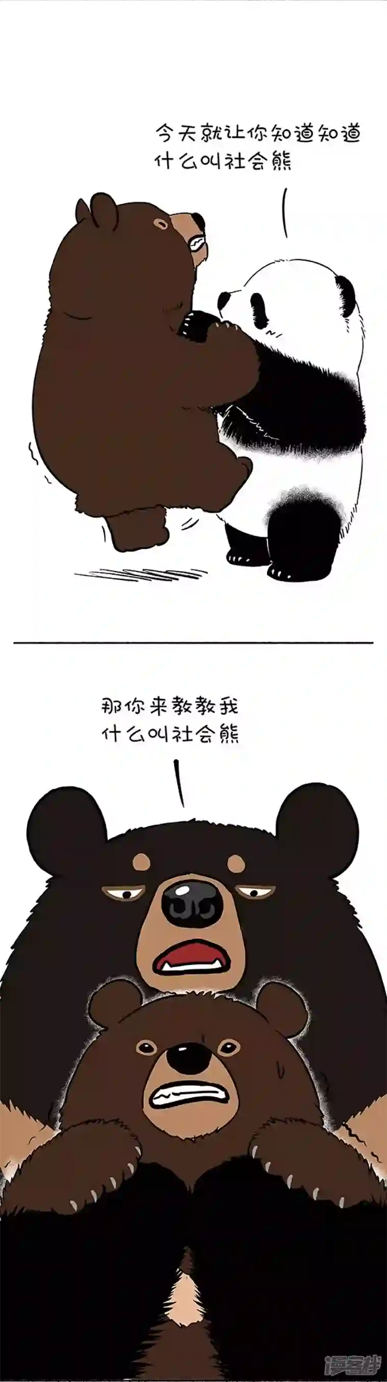 快把动物放进冰箱109社会熊