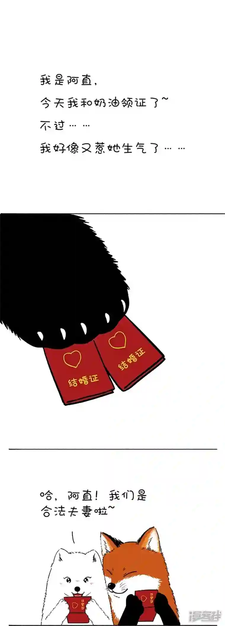 快把动物放进冰箱110阿直奶油领证官宣~