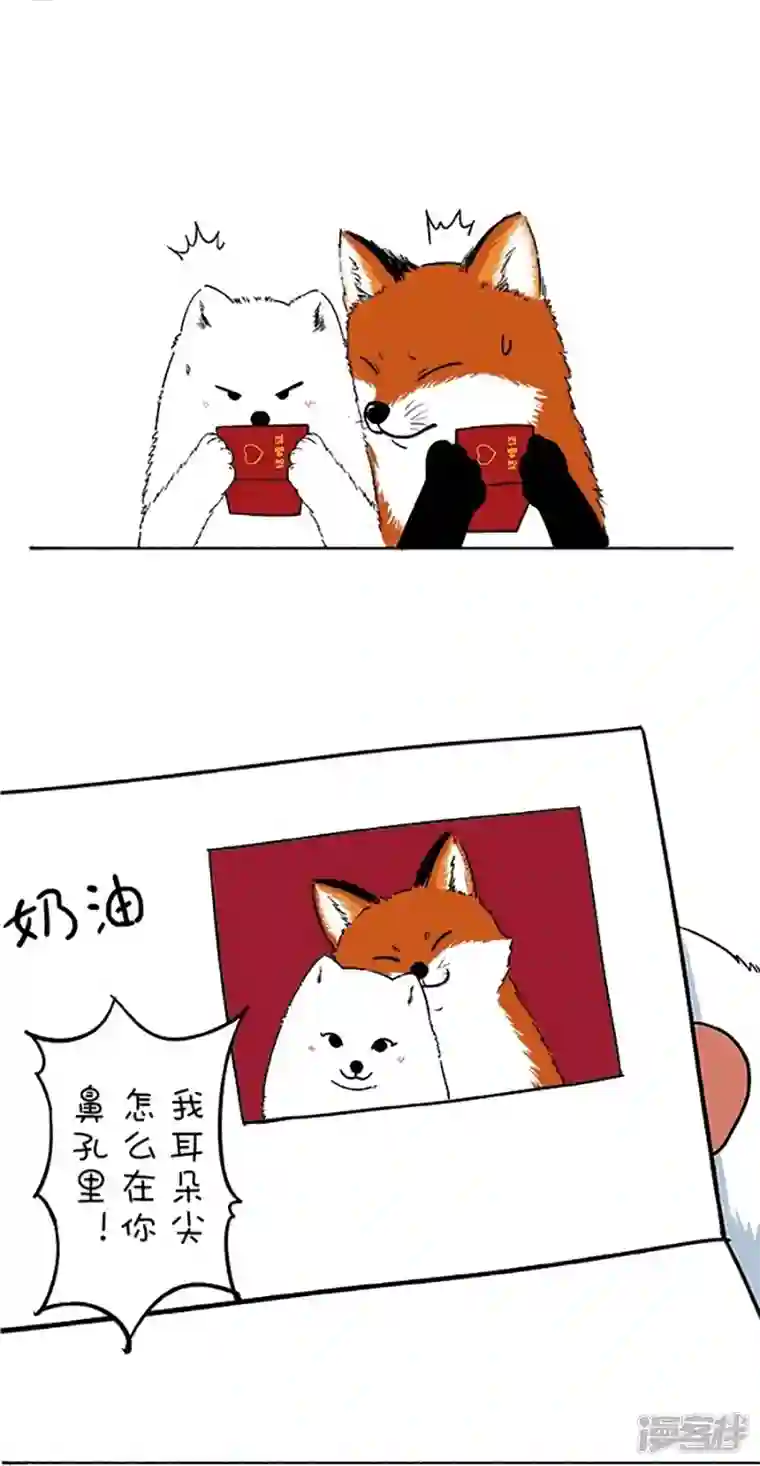 快把动物放进冰箱110阿直奶油领证官宣~