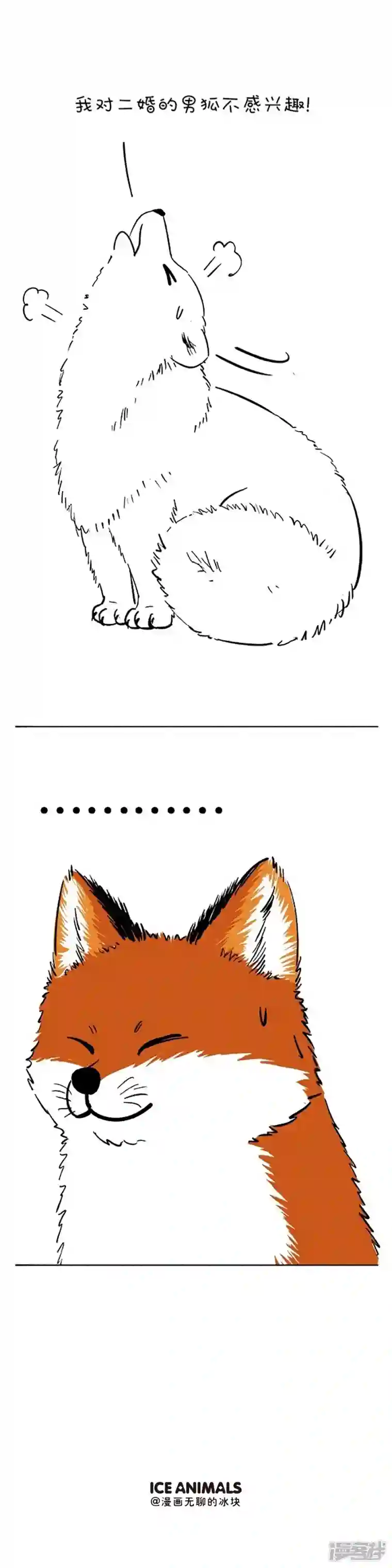 快把动物放进冰箱110阿直奶油领证官宣~