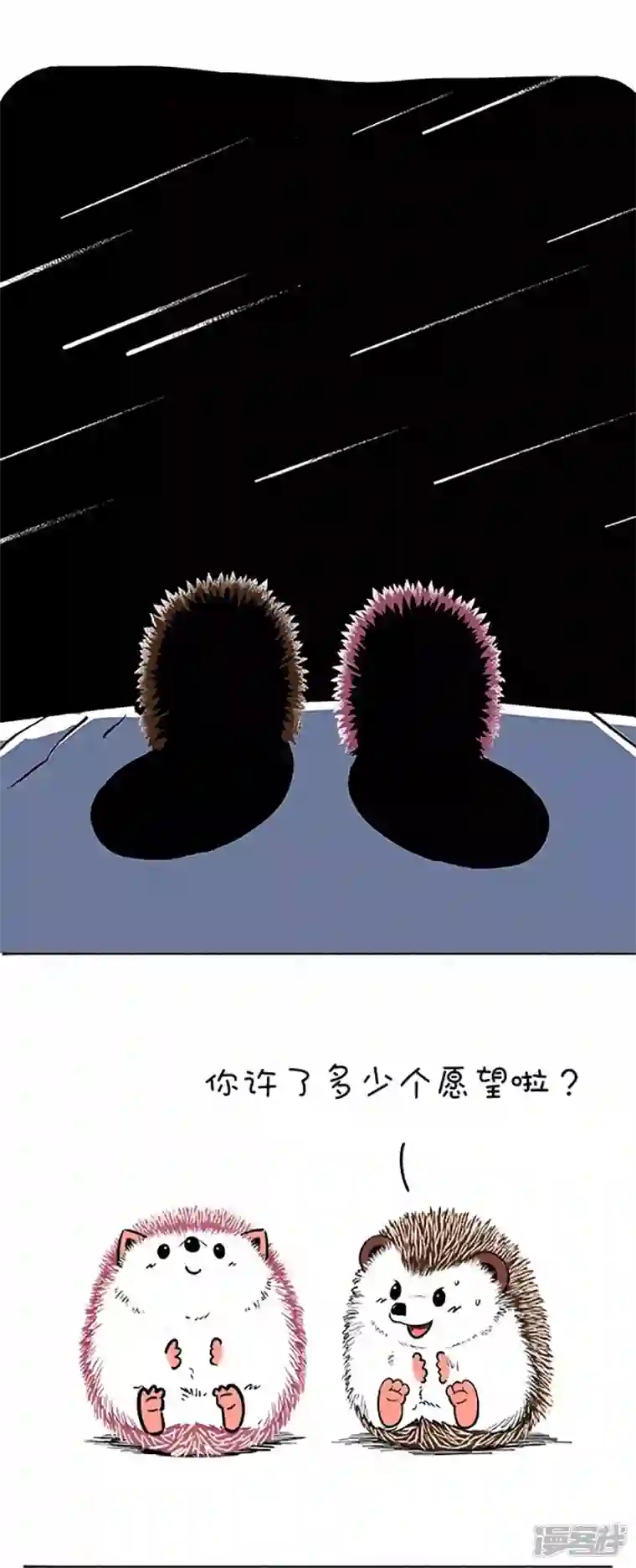 快把动物放进冰箱111和你去看流星雨