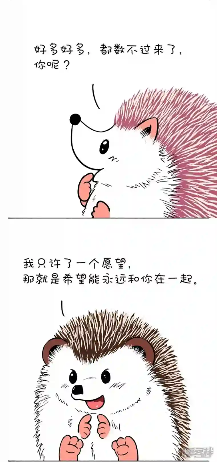 快把动物放进冰箱111和你去看流星雨