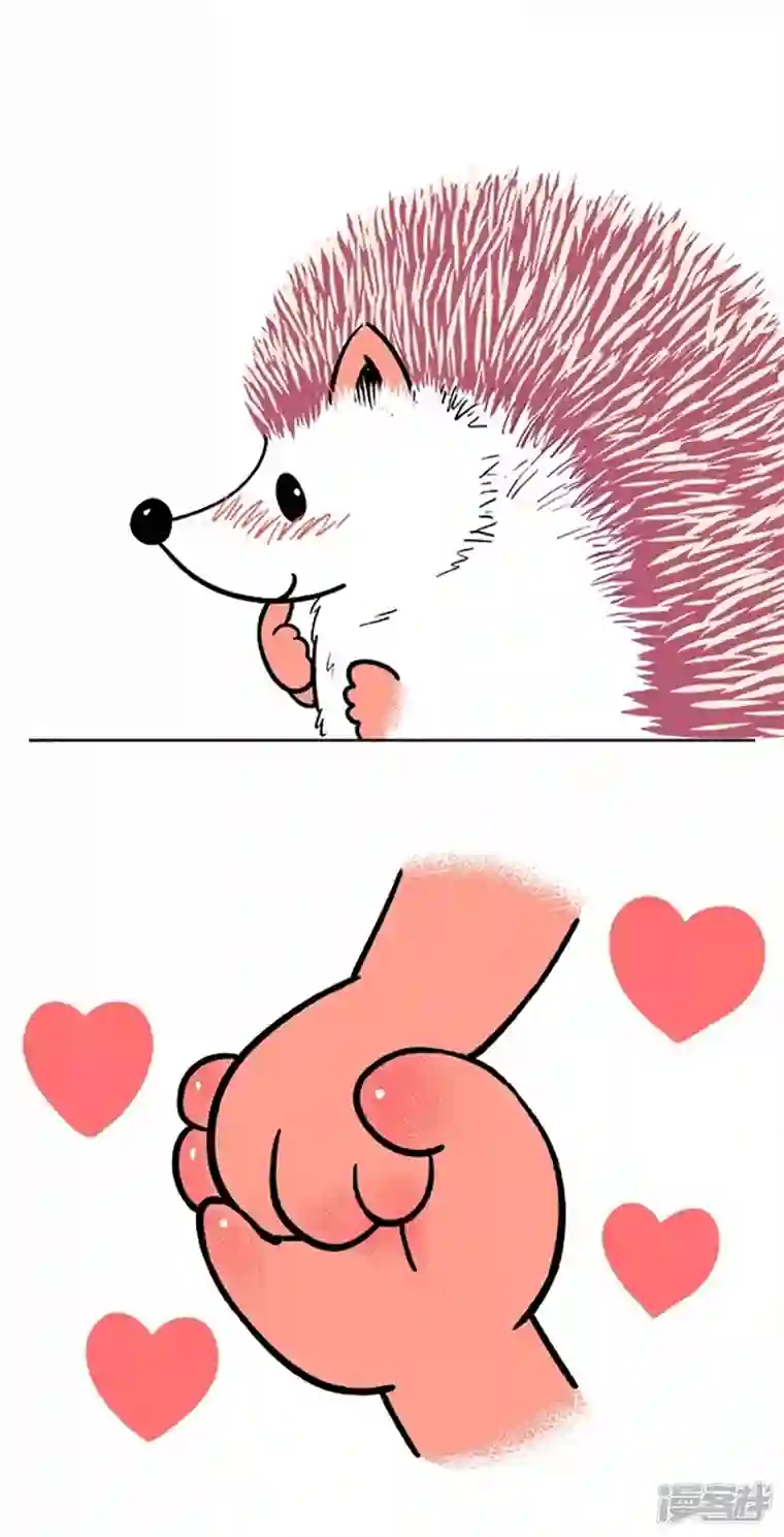 快把动物放进冰箱111和你去看流星雨