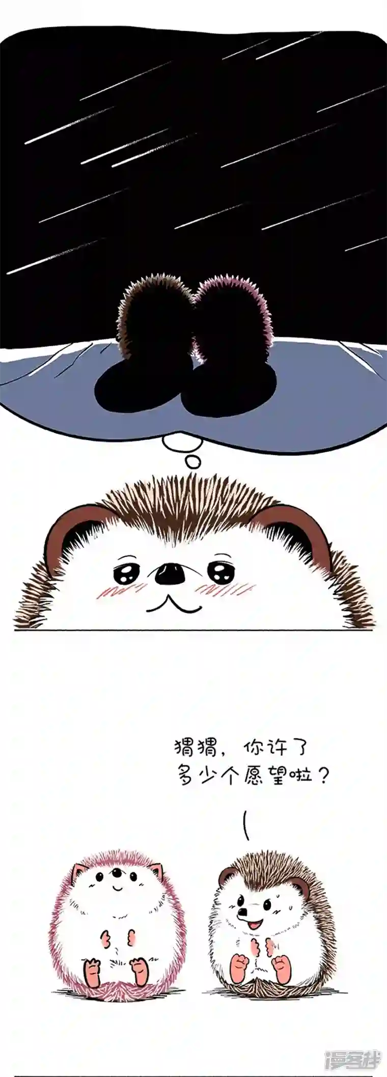 快把动物放进冰箱111和你去看流星雨