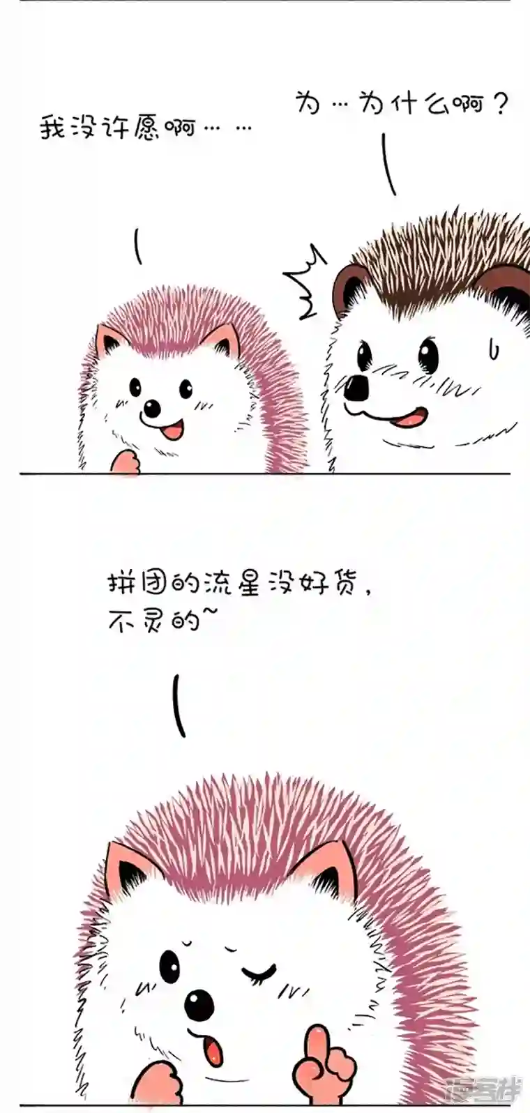 快把动物放进冰箱111和你去看流星雨