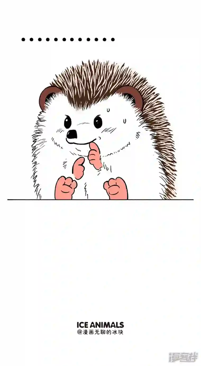 快把动物放进冰箱111和你去看流星雨