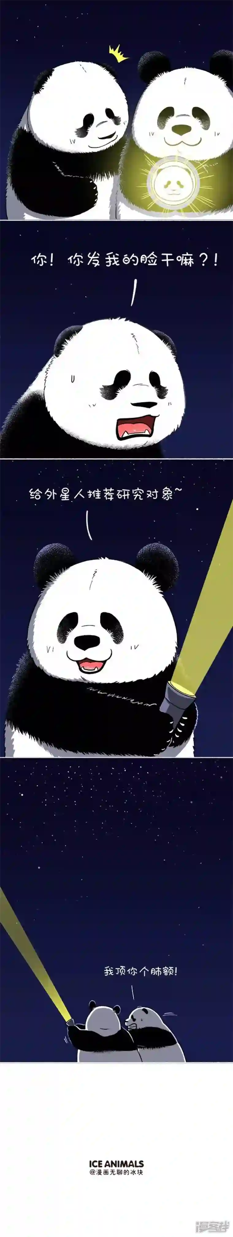 快把动物放进冰箱119宇宙回信