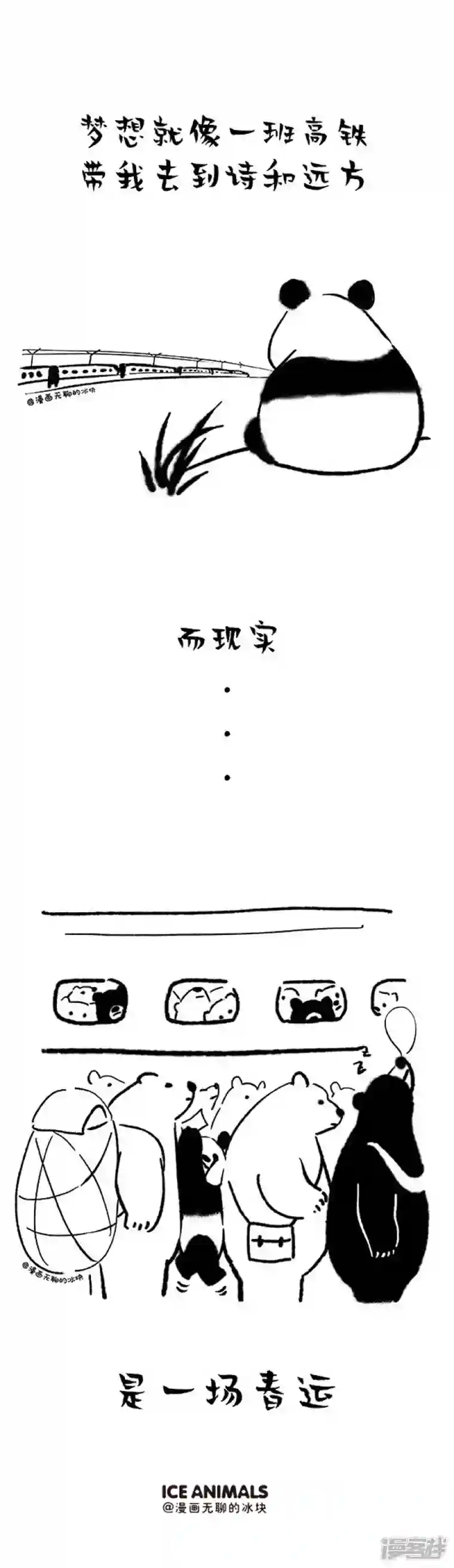 快把动物放进冰箱122我的熊生需要诗和远方