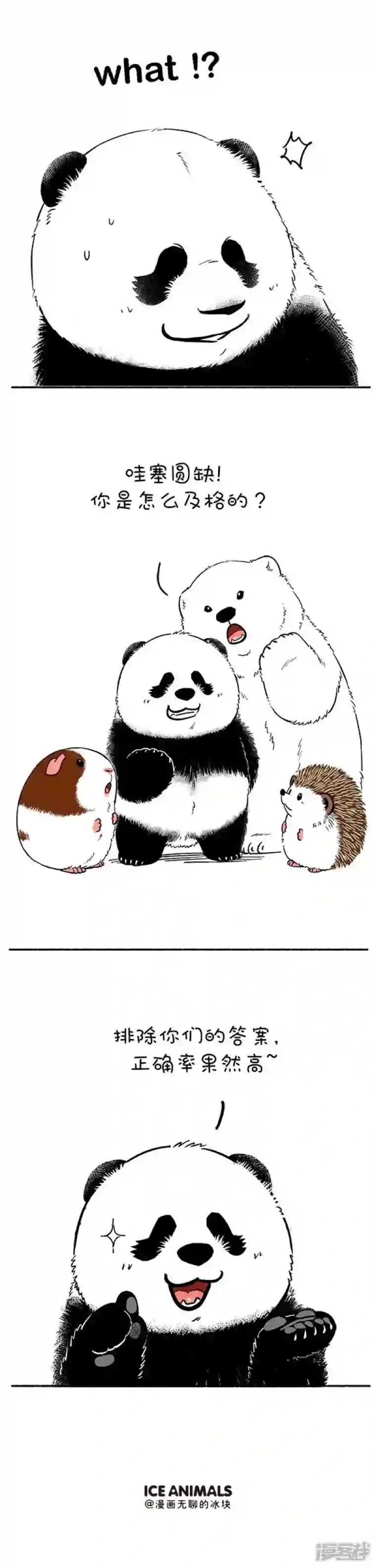 快把动物放进冰箱128寒假玩嗨了，开学考试怎么破