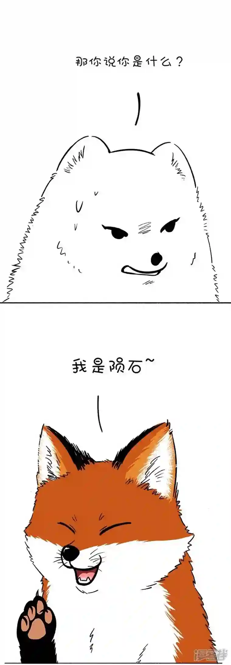 快把动物放进冰箱130最美的爱情，原来画面如此惨烈