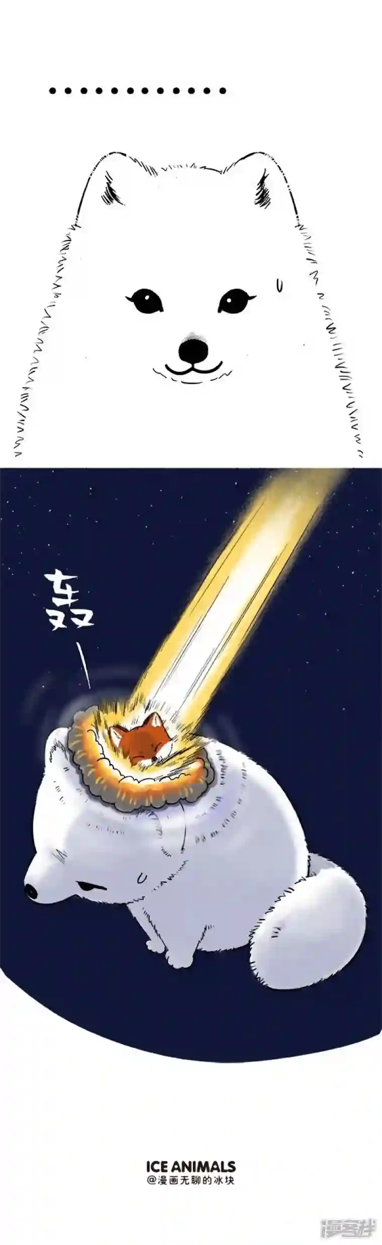 快把动物放进冰箱130最美的爱情，原来画面如此惨烈