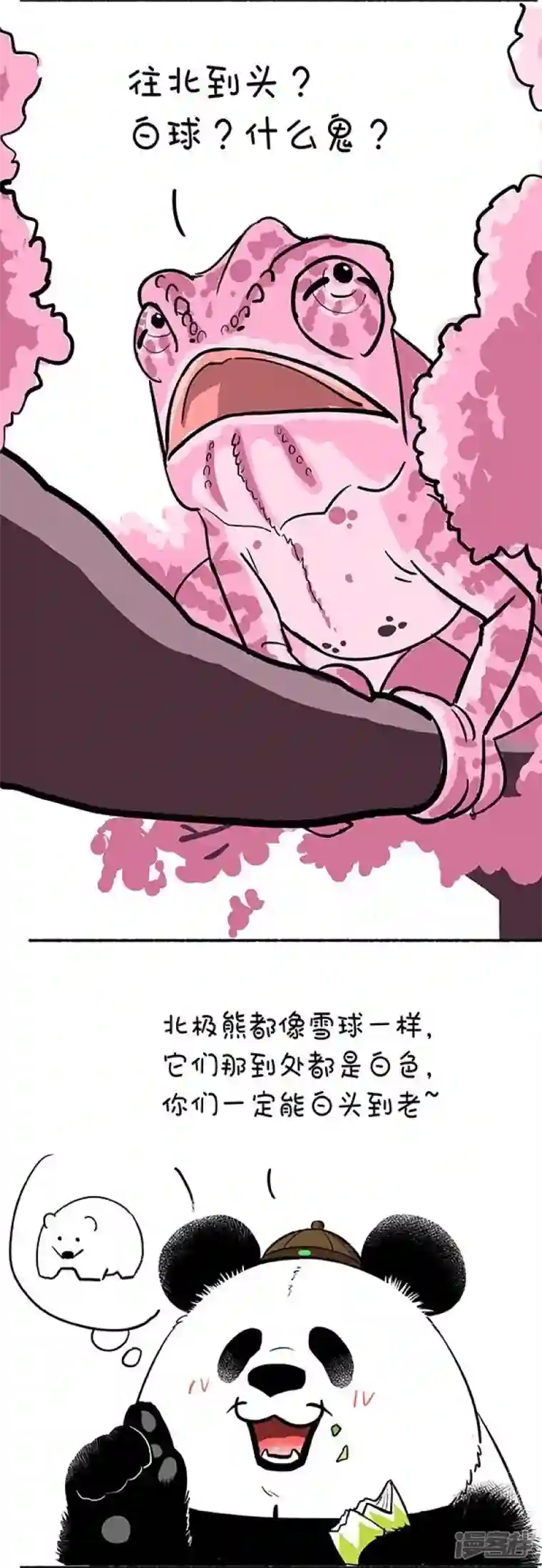 快把动物放进冰箱132奇大师不框你之爱到白头