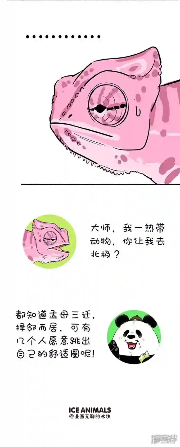 快把动物放进冰箱132奇大师不框你之爱到白头