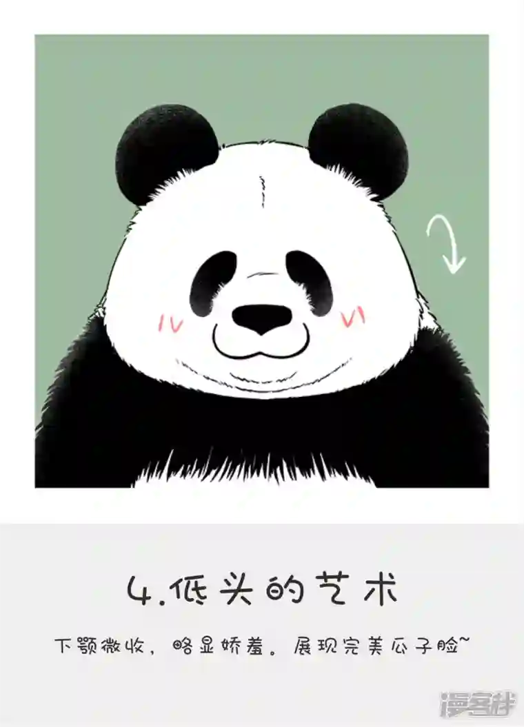 快把动物放进冰箱138滚滚自拍秘籍--完美瘦脸篇