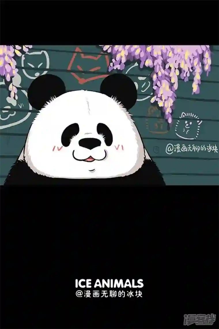 快把动物放进冰箱138滚滚自拍秘籍--完美瘦脸篇