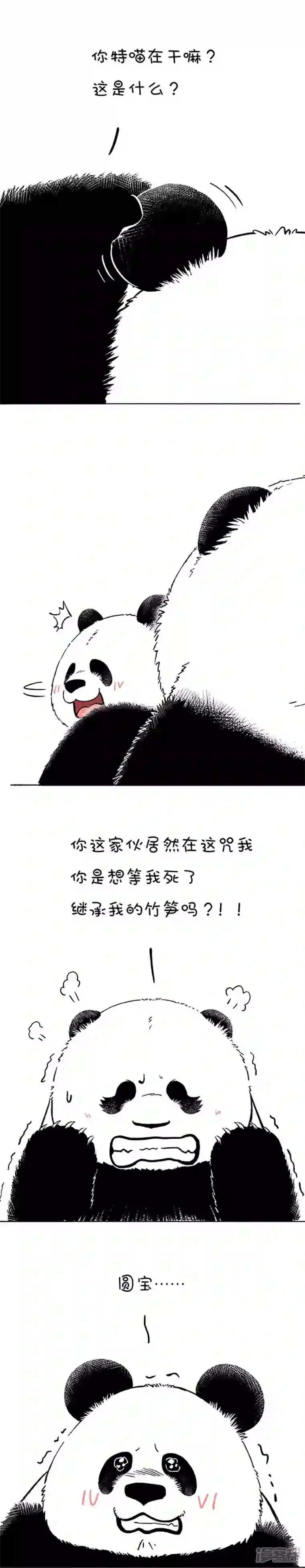 快把动物放进冰箱140有些话我只放在心里