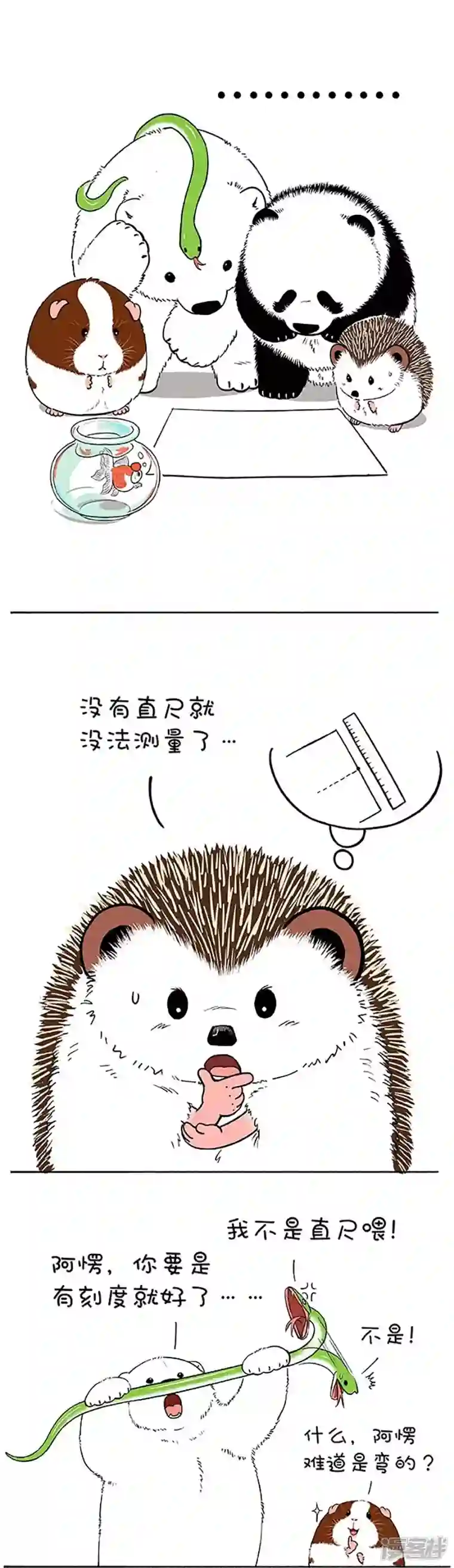 快把动物放进冰箱145现在小学生的题真难