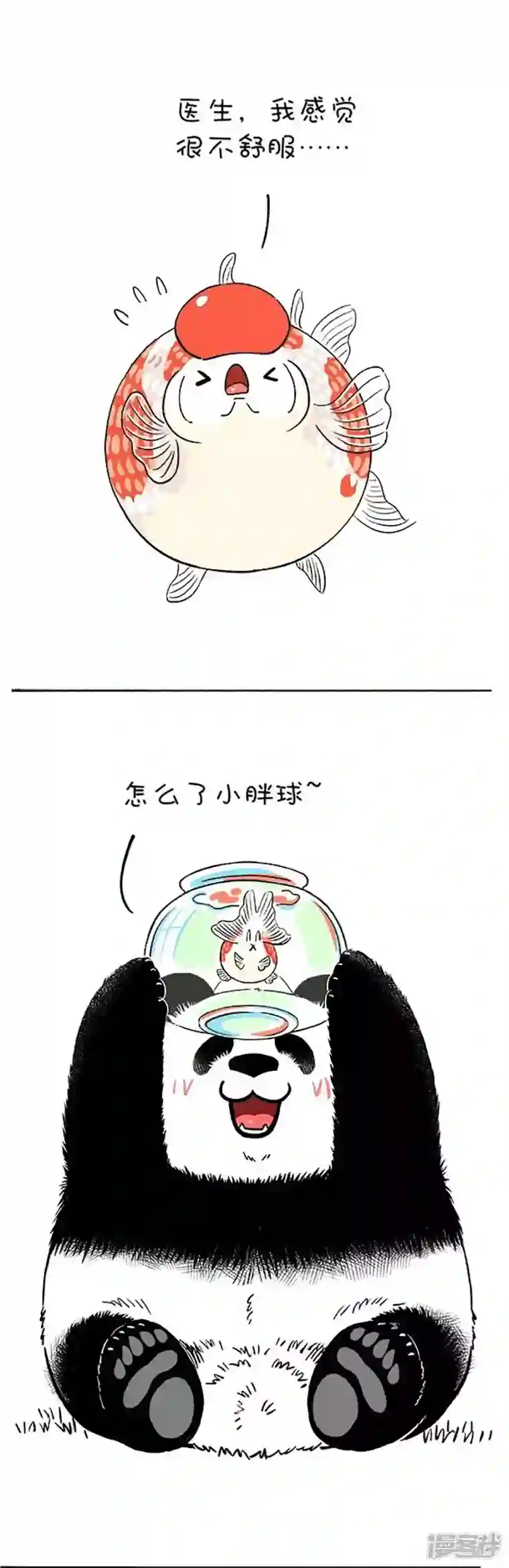 快把动物放进冰箱146医生，我读书少，你不要骗我