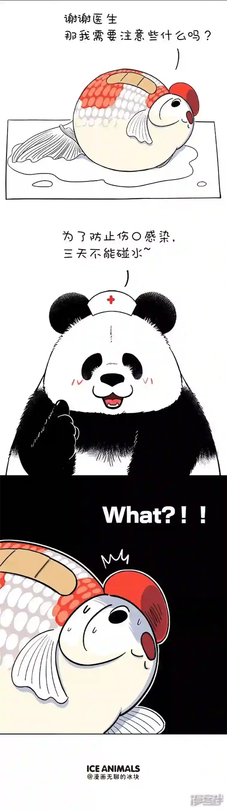 快把动物放进冰箱146医生，我读书少，你不要骗我