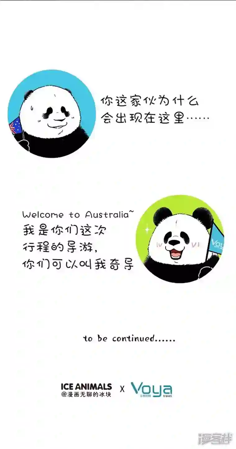 快把动物放进冰箱155惹不起我还躲不起么？