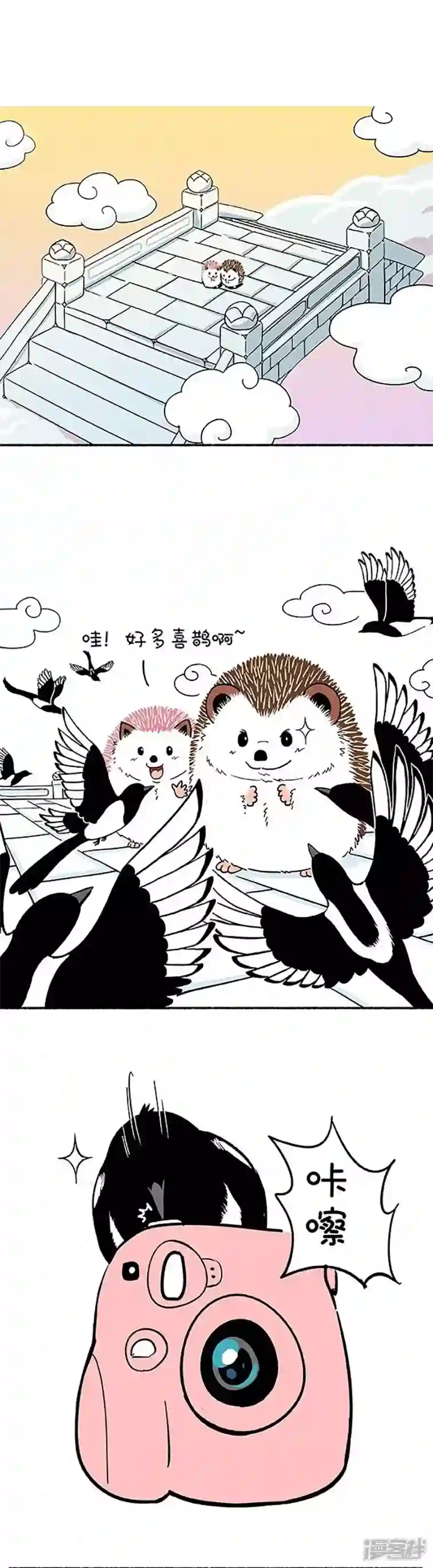 快把动物放进冰箱159因年久失修，七夕鹊桥布满了深坑！