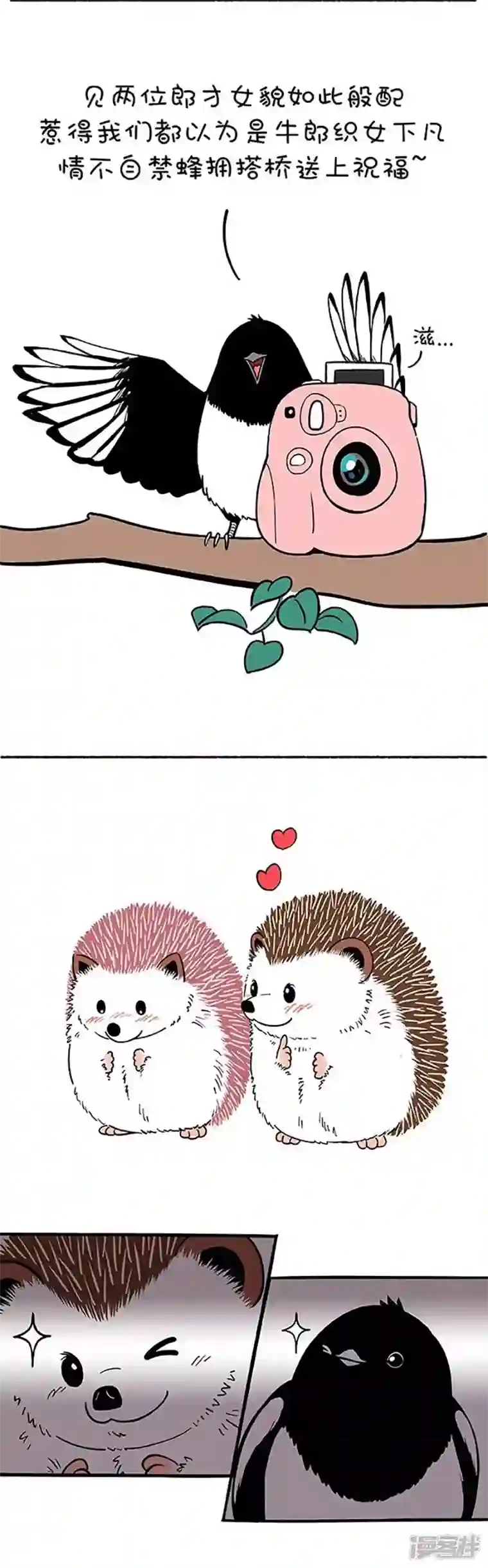 快把动物放进冰箱159因年久失修，七夕鹊桥布满了深坑！