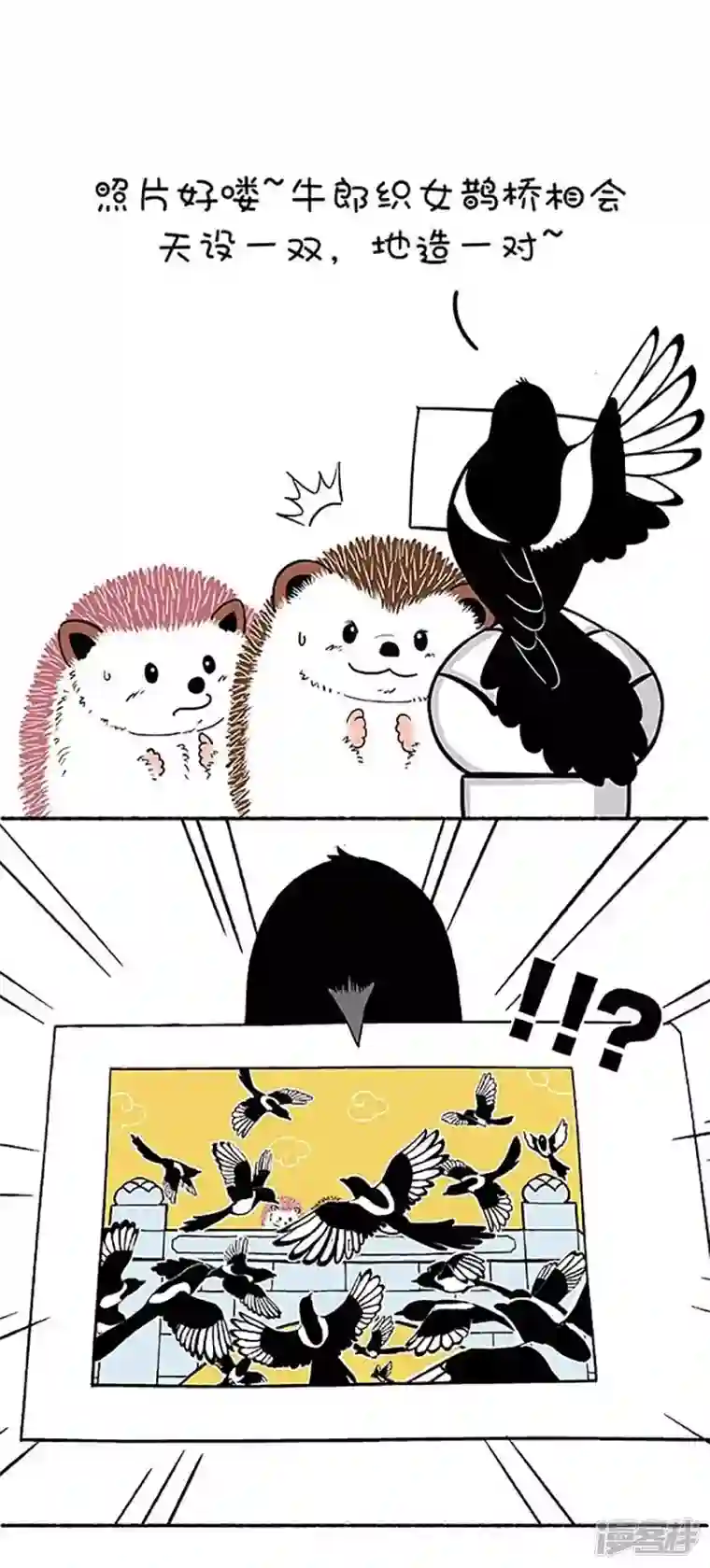 快把动物放进冰箱159因年久失修，七夕鹊桥布满了深坑！