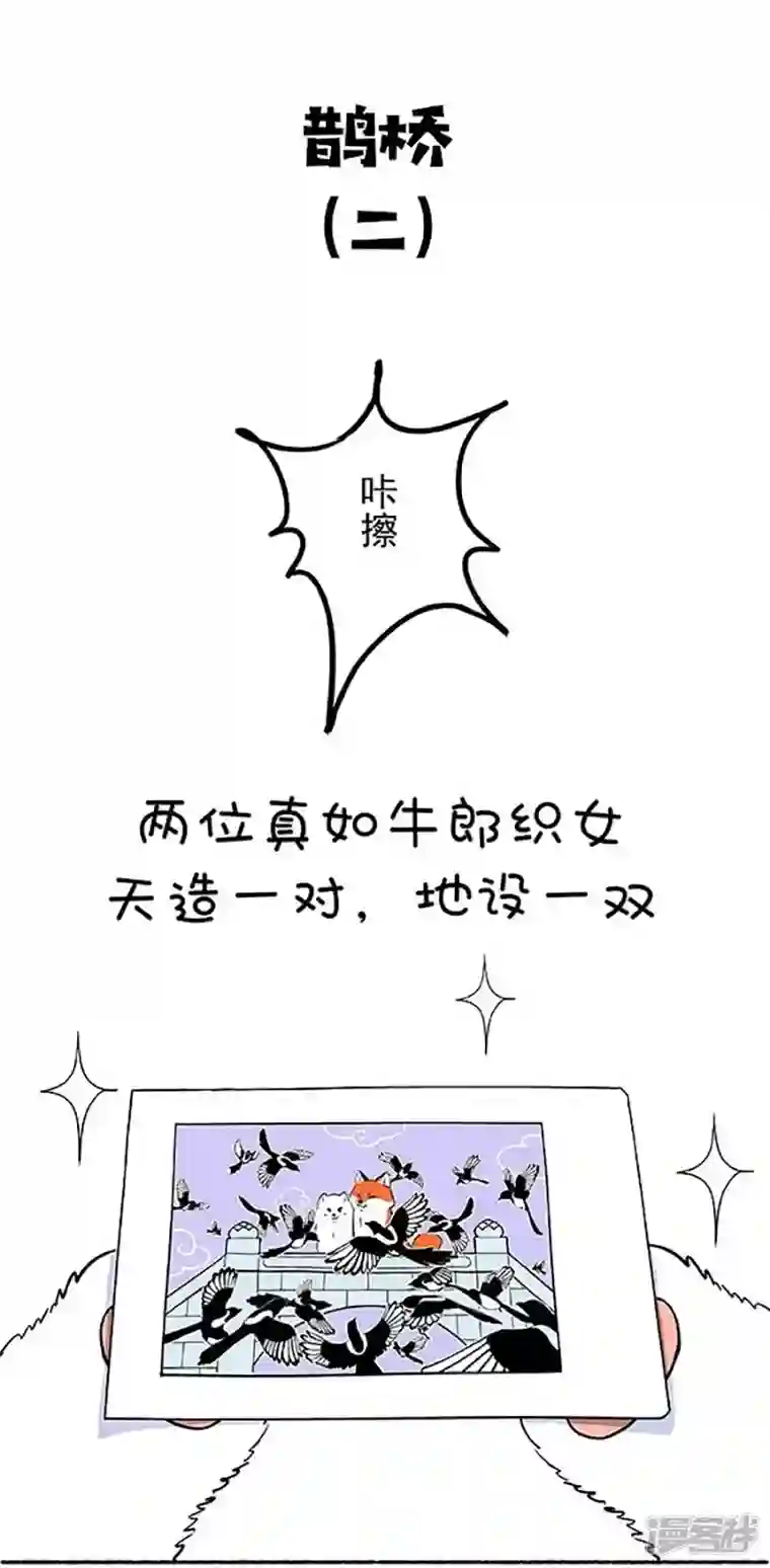 快把动物放进冰箱159因年久失修，七夕鹊桥布满了深坑！