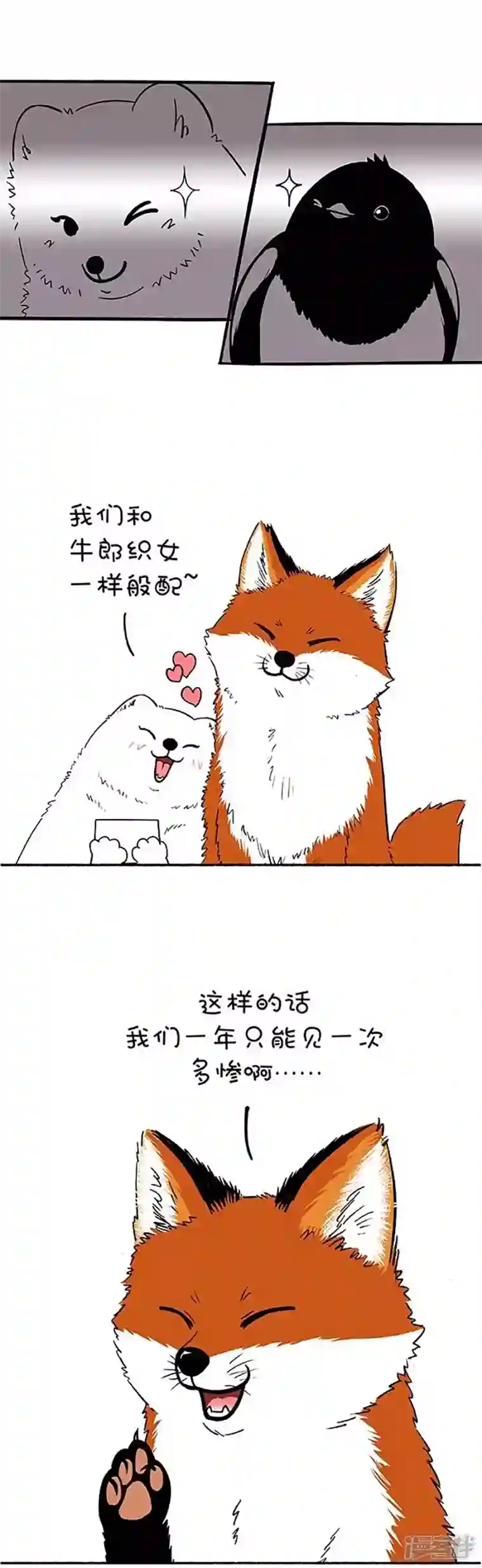 快把动物放进冰箱159因年久失修，七夕鹊桥布满了深坑！