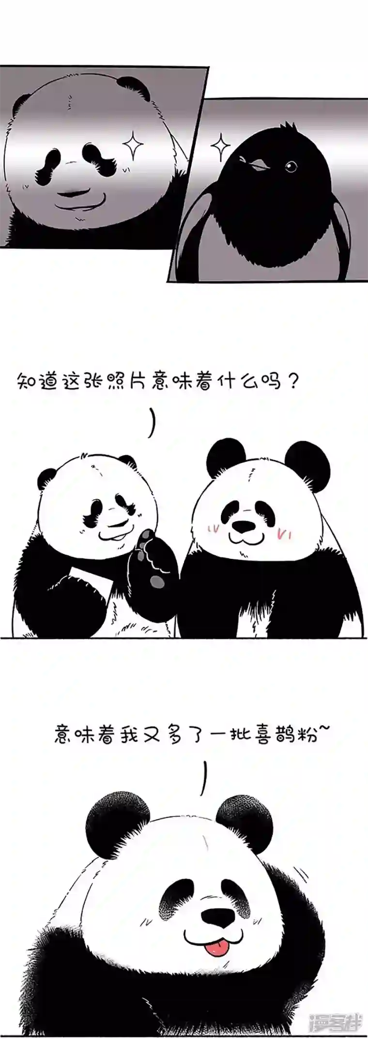 快把动物放进冰箱159因年久失修，七夕鹊桥布满了深坑！