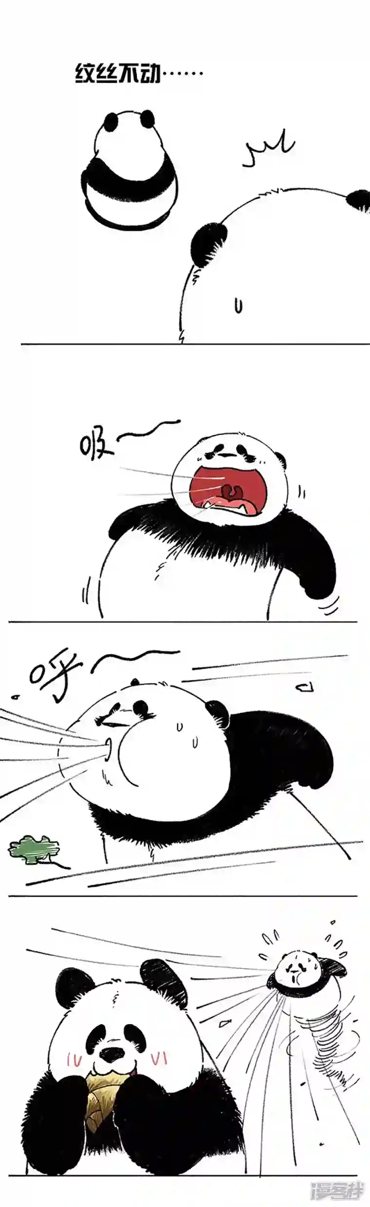 快把动物放进冰箱160不听指挥的马不是什么好水果